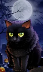 Spooky Halloween